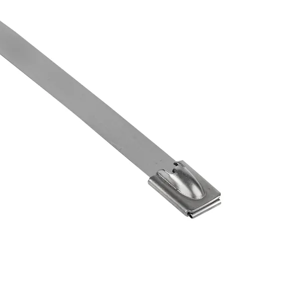 Хомут AISI 304 из нержавеющей стали, 7.9×360 (10 шт.) FlexLock PROxima