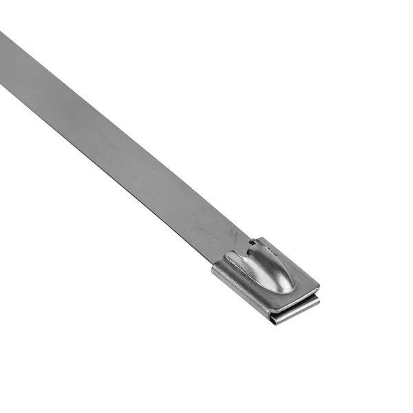 Хомут AISI 304 из нержавеющей стали, 7.9×290 (10 шт.) FlexLock PROxima